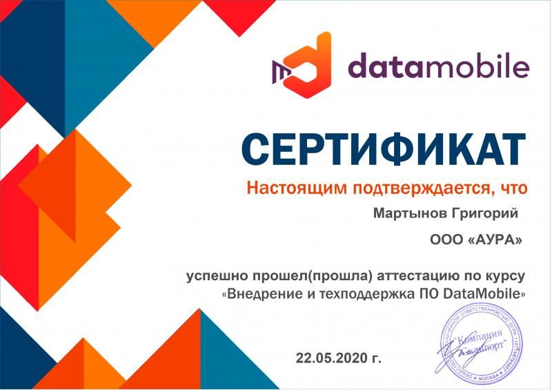 Сертификат по DataMobile лицензия фото