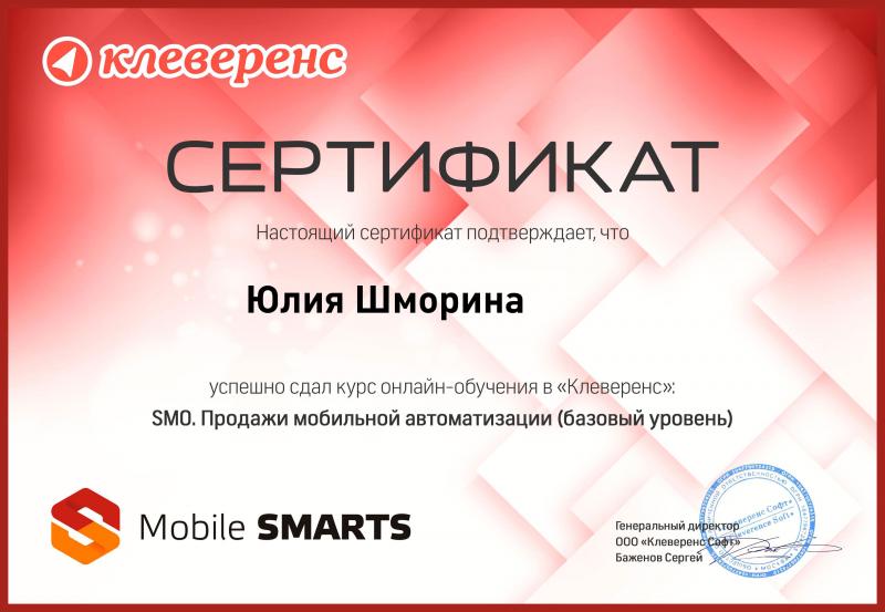 Сертификат Mobile Smarts лицензия фото