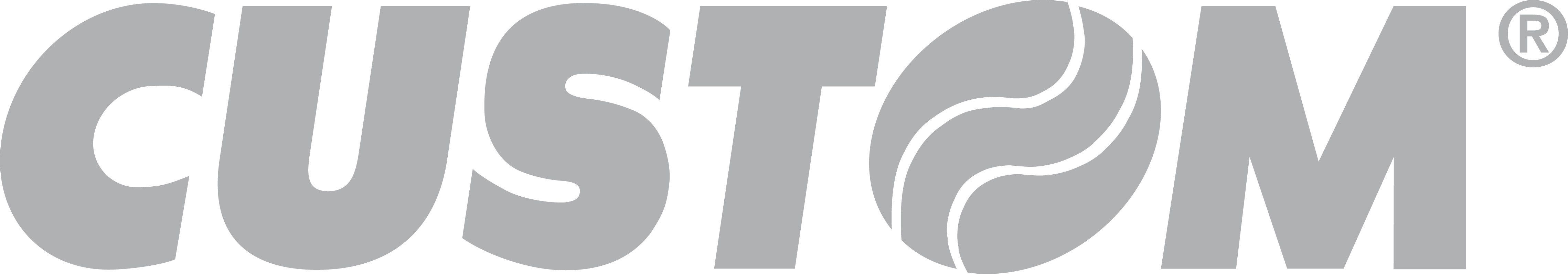 CUSTOM логотип изображение