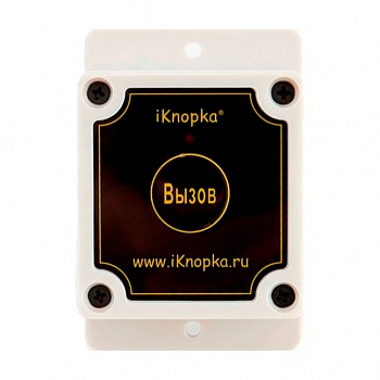Кнопка вызова iKnopka APE500 фото цена