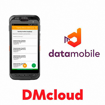 DataMobile DMcloud Online фото цена