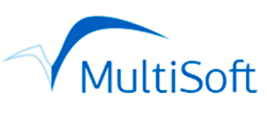 Multisoft Sistems бренд логотип